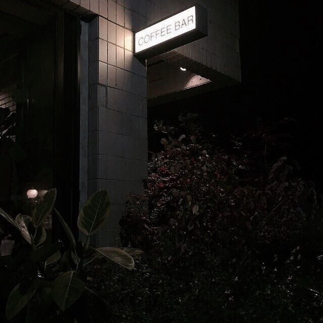 صور بروفايل Dark Paradise Night Aesthetic Dark Aesthetic