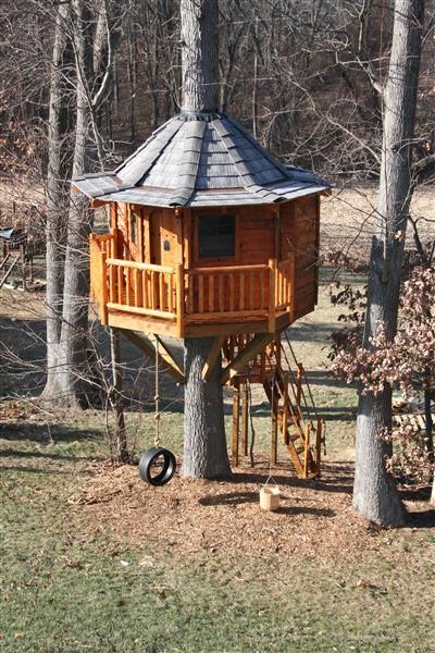 Tree House Plans For Adults 112 best treehouse images on pinterest | treehouse ideas Tree House Plans For Adults 112 best treehouse images on pinterest | treehouse ideas