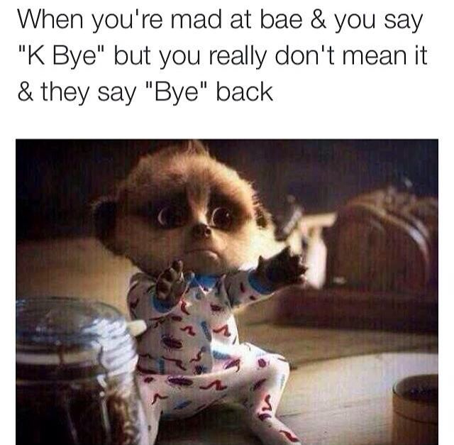 Cute Angry Cat, When you're having a fun time with bae but you have to keep reminding yourself that you're still mad about something they did., By Trendy & Tested