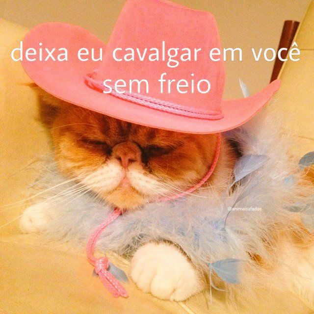 Avoir Images 165 Memes Para Mandar Para O Crush actualisé par