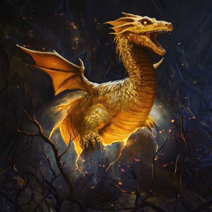 Dragons Art Page 🐲🐉 on Instagram “Baby Gold Dragon! What would you Dragons Art Page 🐲🐉 on Instagram “Baby Gold Dragon! What would you