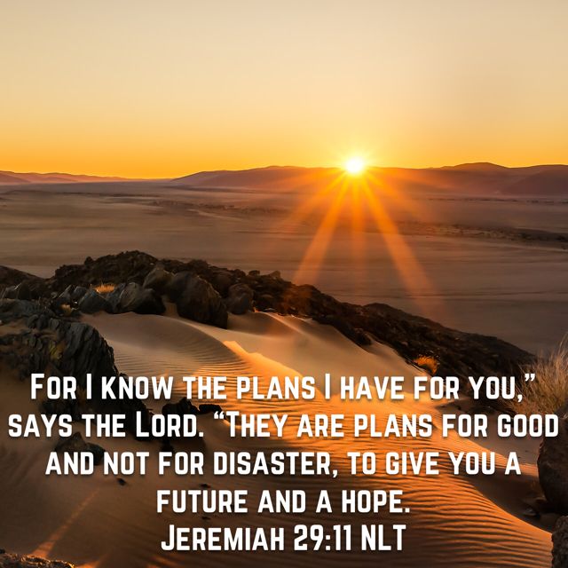 For I know the plans I have for you,” says the Lord. “They are plans for good and not for disaster, to give you a futur… | Amplified
bible, I know the