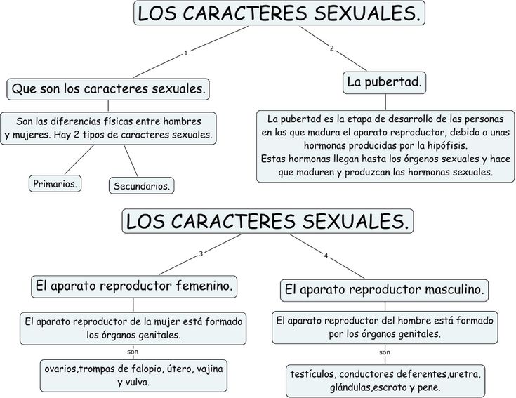Reproducción Humana Búsqueda De Google Line Chart Chart