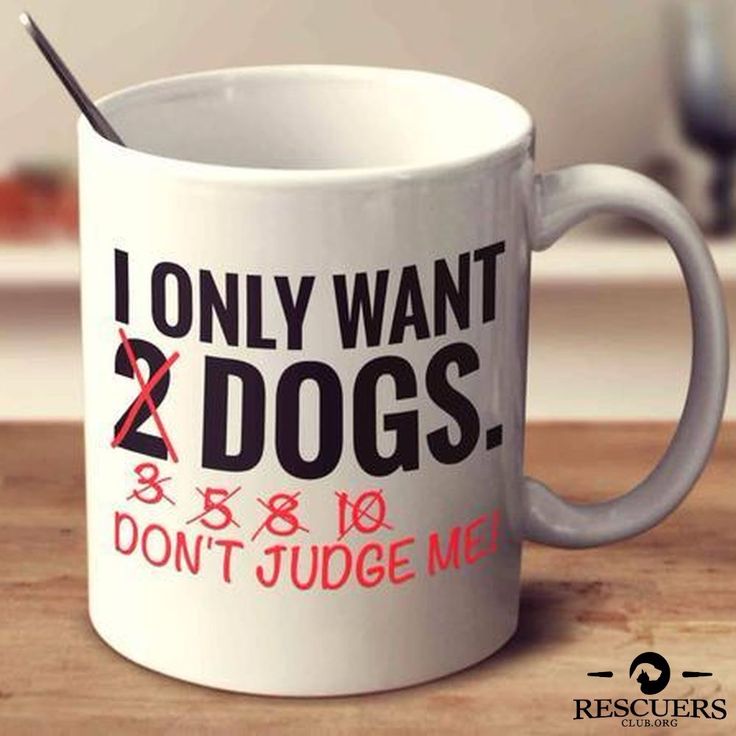 Dogs Dont Meow And Cats Dont Bark Dogs Dont Meow And Cats Dont Bark