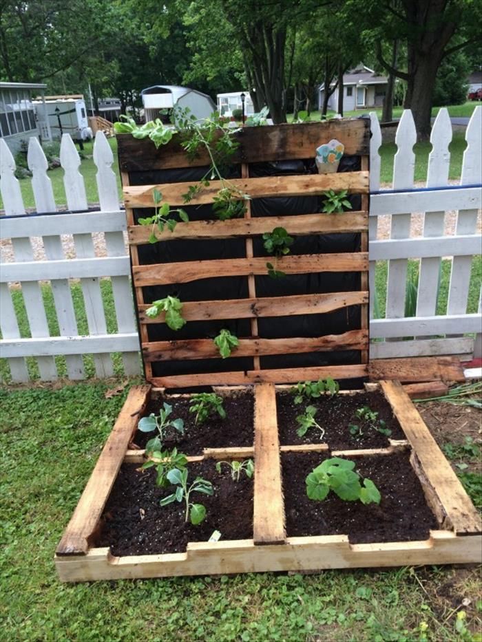 pallet gardening is a garden ideas by using pallets pallets make you enable to build pots wall shelves and small balconies pallet ideas surely help you - Garden Ideas Using Pallets pallet gardening is a garden ideas by using pallets pallets make you enable to build pots wall shelves and small balconies pallet ideas surely help you - Garden Ideas Using Pallets