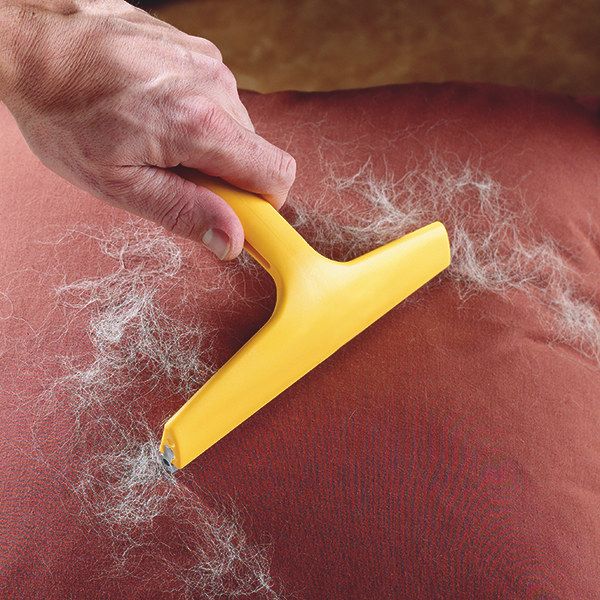 Best Way To Clean Cat Hair From Furniture Best Way To Clean Cat Hair From Furniture