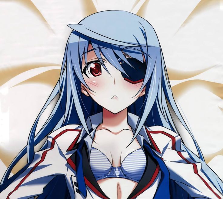 Anime like infinite stratos