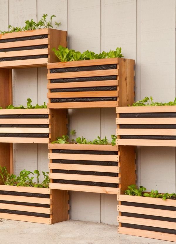 Vertical Vegetable Garden Design best 25+ vertical vegetable gardens ideas only on pinterest | tiny Vertical Vegetable Garden Design best 25+ vertical vegetable gardens ideas only on pinterest | tiny
