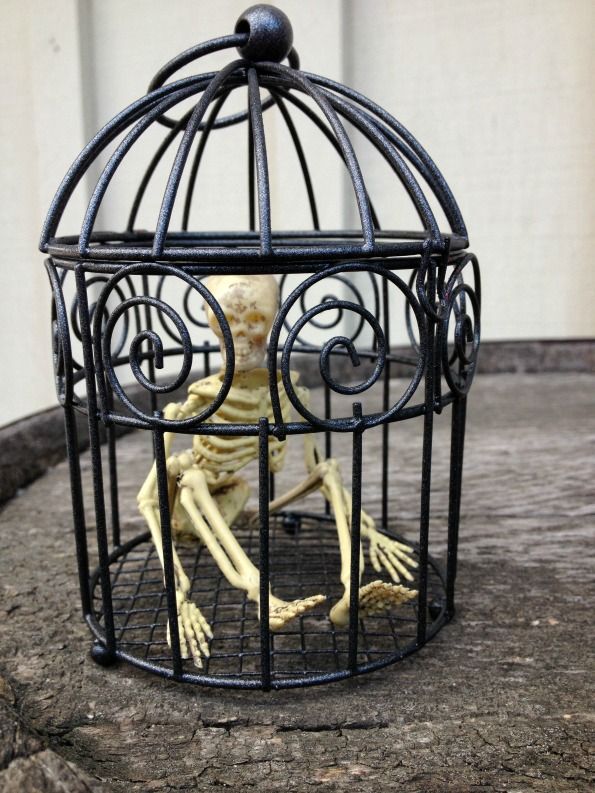 craft tutorial jailbird skeleton halloween decoration and 100 more diy halloween ideas