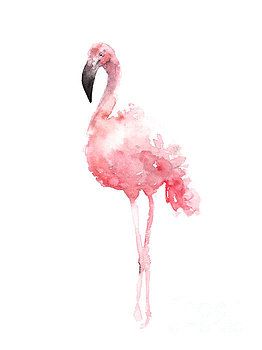 Joanna Szmerdt – Art, Prints, Posters, Home Decor, Greeting Cards, and Apparel Joanna Szmerdt – Art, Prints, Posters, Home Decor, Greeting Cards, and Apparel