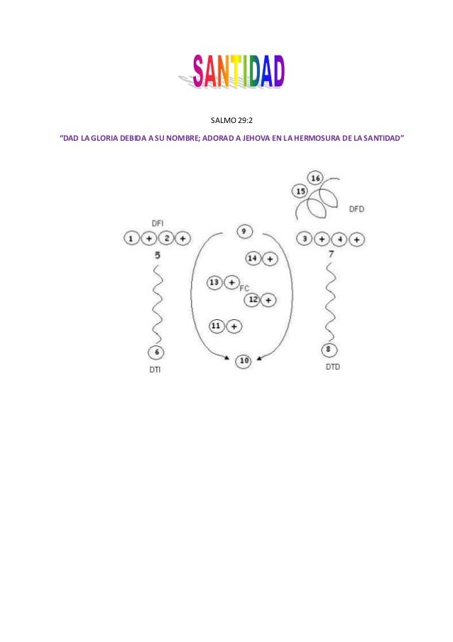 manual de rutinas de panderos