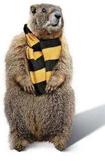 groundhog day karma 215 best groundhog day punxsutawney phil images on groundhog day karma 215 best groundhog day punxsutawney phil images on