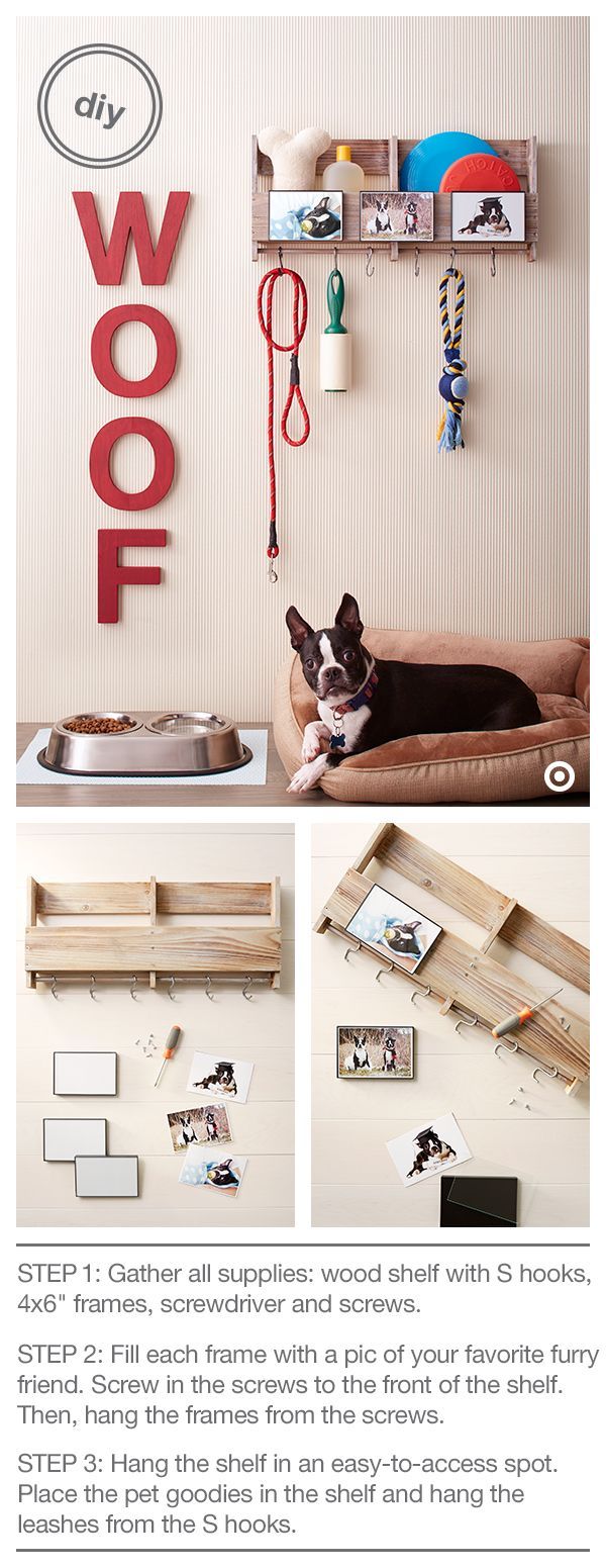 puppy decorations best 25 room decor ideas on corner and pet decor puppy decorations best 25 room decor ideas on corner and pet decor