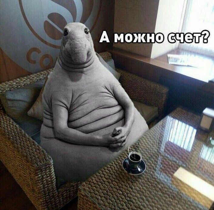 Фото Ждуна Картинки Прикольные Смешные Фото Ждуна Картинки Прикольные Смешные