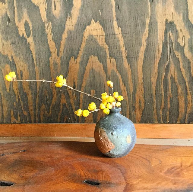 鈴木 美基 Suzuki Miki 陶芸家 Sur Instagram 外に出ると蝋梅の匂いが届いてきた 梅の花も咲き始めてます 蕾が可愛い時です ろうばい 梅の花も咲き始め 蕾が可愛い 一輪 花のある暮らし フラワー 花好き 花道 器を楽しむ暮らし 黄色が映える In 21 鈴木 美基 Suzuki Miki 陶芸家 Sur Instagram 外に出ると蝋梅の匂いが届いてきた 梅の花も咲き始めてます 蕾が可愛い時です ろうばい 梅の花も咲き始め 蕾が可愛い 一輪 花のある暮らし フラワー 花好き 花道 器を楽しむ暮らし 黄色が映える In 21