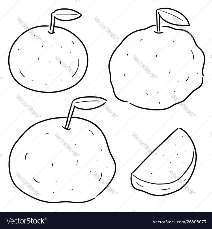 Pin by Pammungkas on guava sketch hand drawing illustrations | Guava