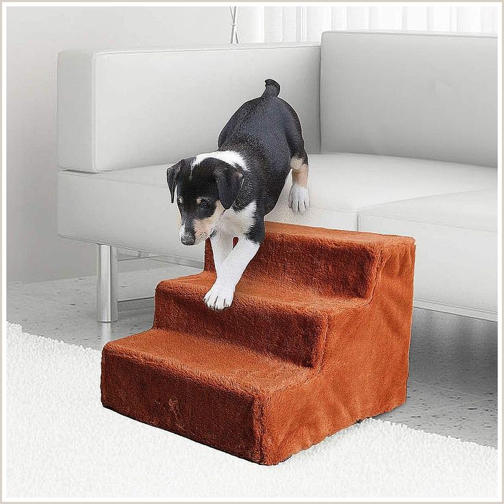 Dog couch cheap stairs