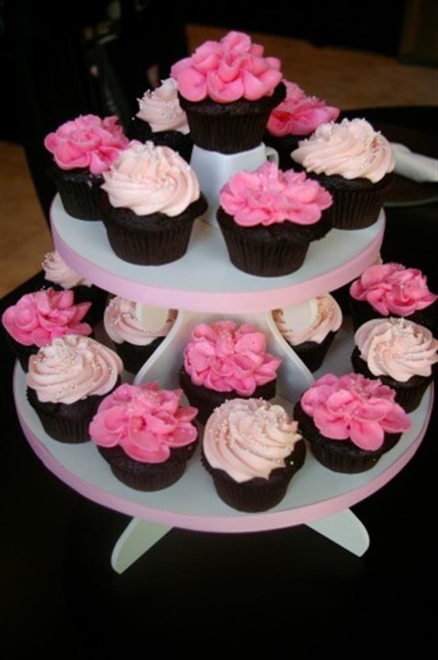 How long do you cook deer meat in air fryer Easy cupcakes for girl baby shower