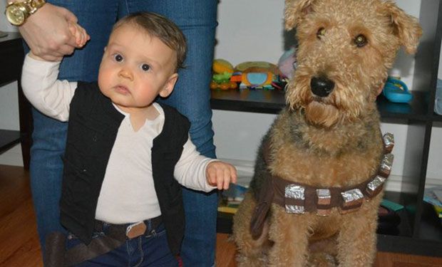 Http Yourbump Com Kid Dog Halloween Costumes Diy 17 Dog
