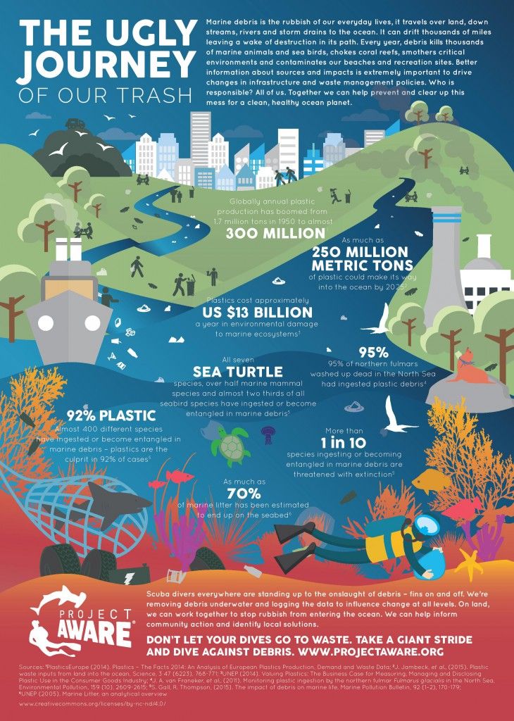 Pin on Ocean Conservation Projects
