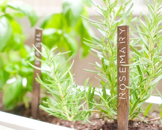 Herb Garden Ideas For A Balcony best 20+ balcony herb gardens ideas on pinterest | patio herb Herb Garden Ideas For A Balcony best 20+ balcony herb gardens ideas on pinterest | patio herb