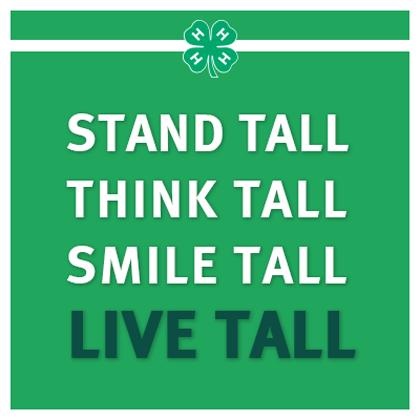 If Your Short You Can Still Think It 60H Pinterest 60 H Cool 4 H Quotes If Your Short You Can Still Think It 60H Pinterest 60 H Cool 4 H Quotes
