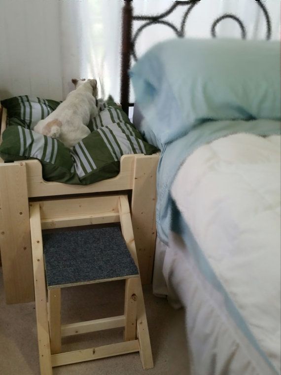 How To Make An Elevated Dog Bed Out Of Wood How To Make An Elevated Dog Bed Out Of Wood