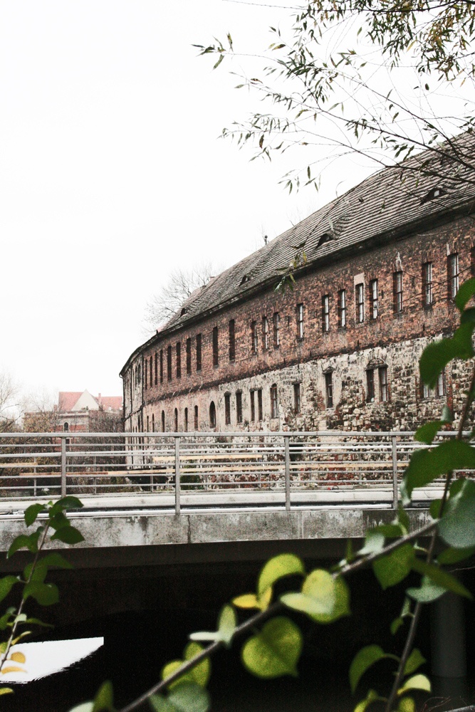 halle saale leute kennenlernen