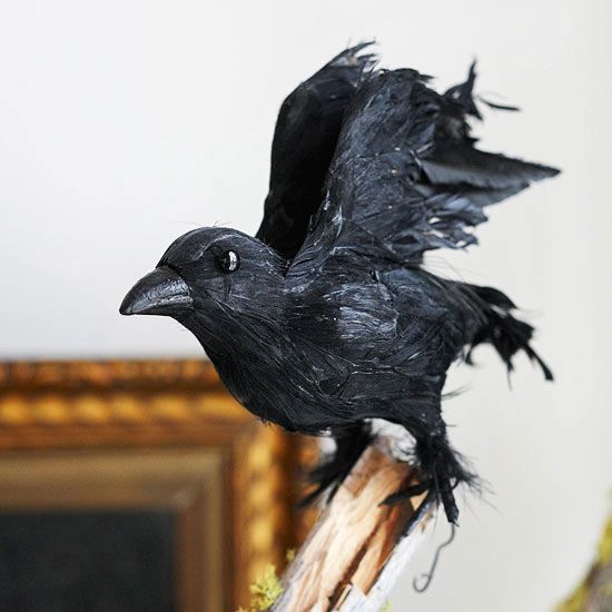 125 best diy haunted house maze etc ideas images on pinterest halloween stuff halloween prop and halloween ideas