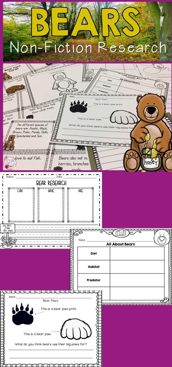 Bear Research report! Great for young learners! A fun way for students to research and learn about bears!