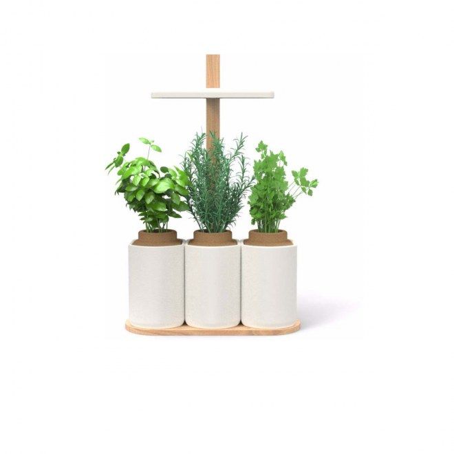 110 best Idées cadeaux pour elle Fête des mères images on Pinterest - petit jardin d interieur 110 best Idées cadeaux pour elle Fête des mères images on Pinterest - petit jardin d interieur