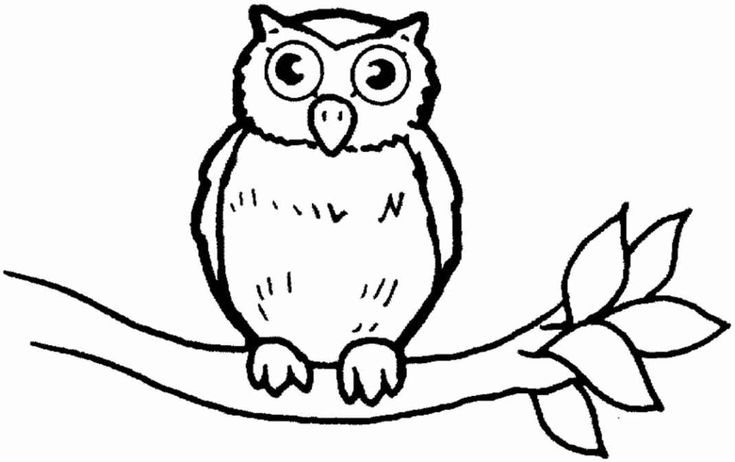 Cute Owl Printable Coloring Pages Your Kiddos Will Love