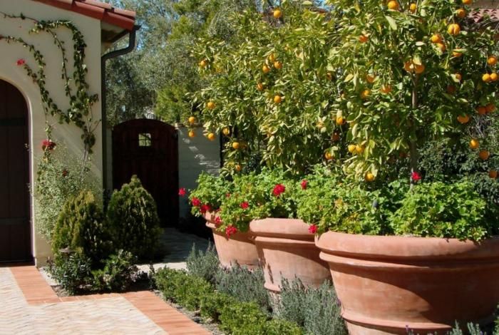 Der geheime Garten, Tipps und Ideen für intime Räume. #indirektebeleuchtung #r...