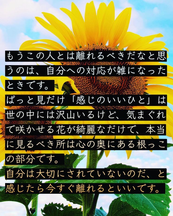 Nana On Instagram マノマノ さんの言葉 言葉 言葉の力 言霊 格言 名言 ポエム 引き寄せ 生きる 日常 幸せ 人間関係 ポジティブ 愛 愛情 恋愛 癒し ありがとう 感謝 波動 21 格言 名言 言葉の力 人間関係 Nana On Instagram マノマノ さんの言葉 言葉 言葉の力 言霊 格言 名言 ポエム 引き寄せ 生きる 日常 幸せ 人間関係 ポジティブ 愛 愛情 恋愛 癒し ありがとう 感謝 波動 21 格言 名言 言葉の力 人間関係
