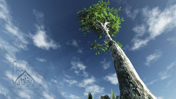 ثمرات الايمان Allah Iman
