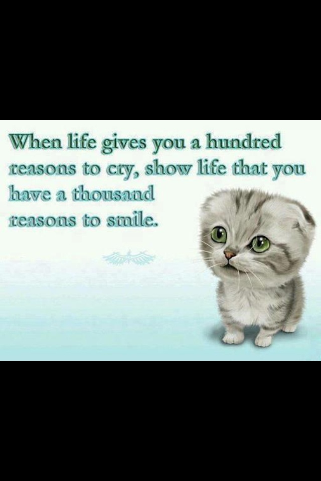 Pin By Jan Shimp On Quotes Life Smile Quotes Beautiful Best Smile