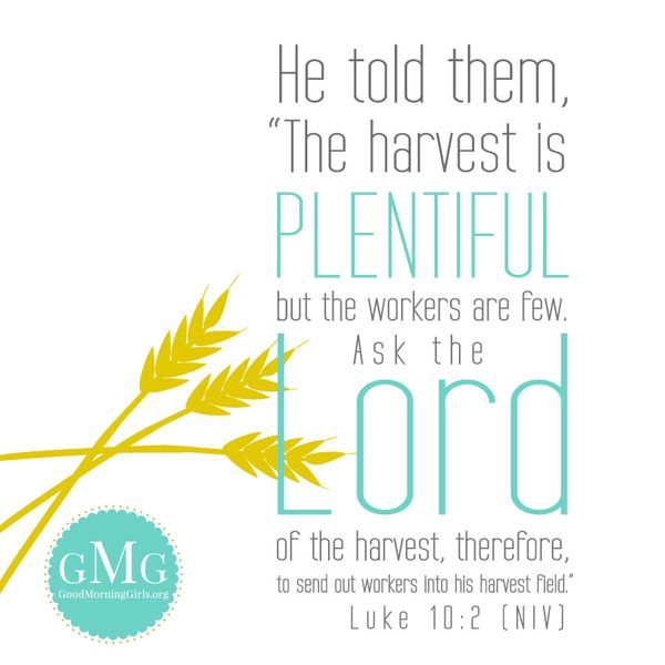 The Harvest Is Plentiful But The Workers Are Few | 8 best bulletin boards images on pinterest res life The Harvest Is Plentiful But The Workers Are Few | 8 best bulletin boards images on pinterest res life