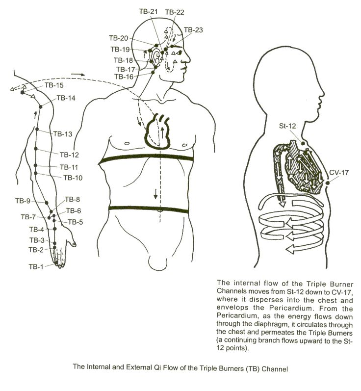 phyzspringboard centrifugal weight loss answers in genesis And other phyzspringboard centrifugal weight loss answers in genesis present, these teachers