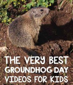 groundhog day karma 160 best for teaching images on school groundhog day karma 160 best for teaching images on school