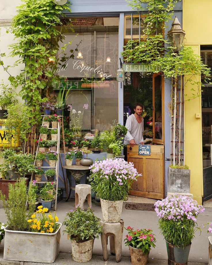 Bleuet Coquelicot Paris With Images Flower Shop Greenhouse
