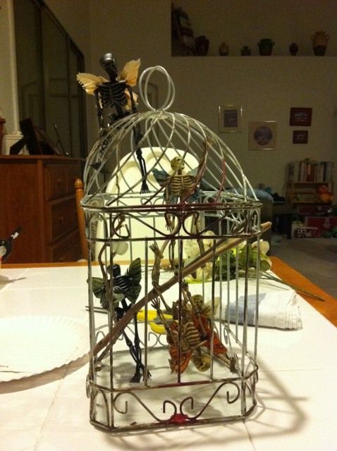 fairy skeletons my skeletons were actually a garland but easily taken off i got the fairy wings at michaels a friend saw the birdcages on the side of