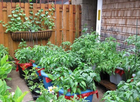 85 best Container Patio Gardening images on Pinterest 5 Tips For Patio Gardening This Spring City Girl At Heart A working mum s lifestyle blog Container Ve able