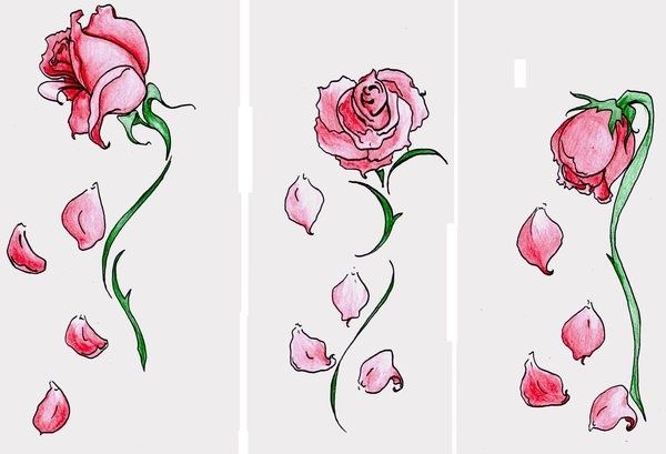 Falling rose discount