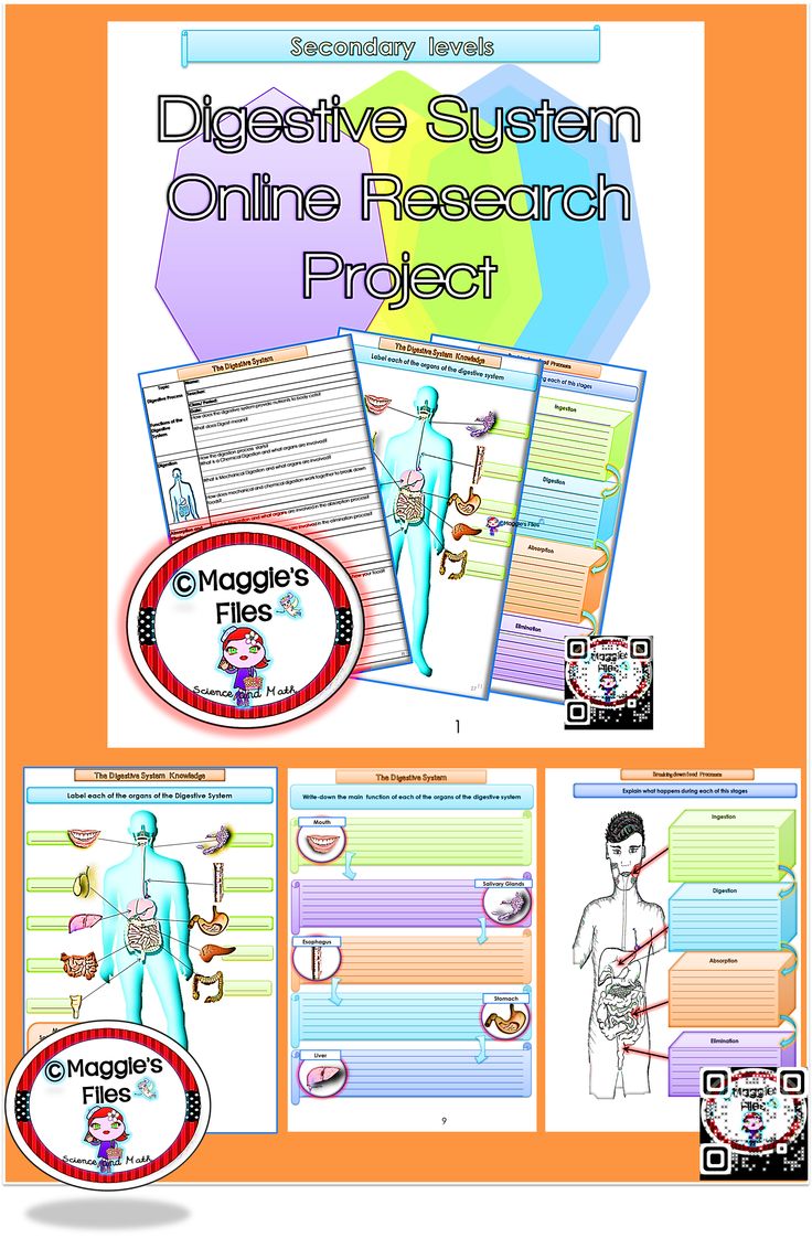 a research on the human digestive system Disorders & conditions of the digestive system these short notes about some conditions and disorders of the human digestive system list the research confirms. a research on the human digestive system Disorders & conditions of the digestive system these short notes about some conditions and disorders of the human digestive system list the research confirms.