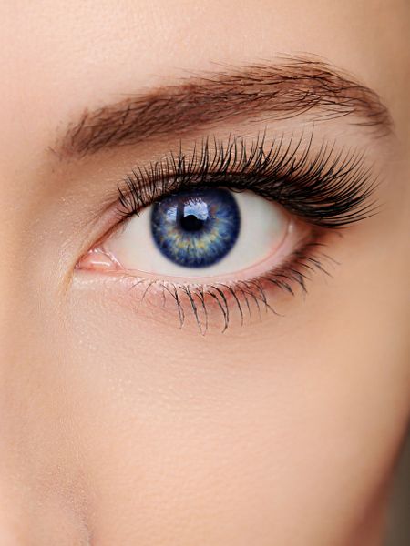 Der Anziehungskraft von geschwungenen Wimpern kann sich kaum einer entziehen. Bl...