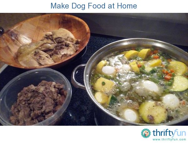 shih tzu puppy food recipes make food at home shih tzu puppy food and recipes shih tzu puppy food recipes make food at home shih tzu puppy food and recipes
