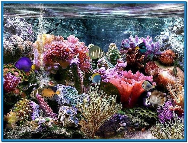 simaquarium 2 7 screensaver