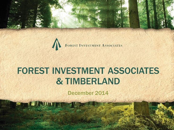 77 best Woodlands Graphic Design \ Illustration images on - example flyer 77 best Woodlands Graphic Design \ Illustration images on - example flyer