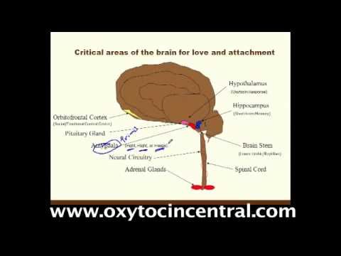 the evolution biological and psychosocial models and treatment methods of reactive attachment disord Community and forensic settings: screening, intervention and treatment attachment: a psychological study of the reactive attachment disorder following early . the evolution biological and psychosocial models and treatment methods of reactive attachment disord Community and forensic settings: screening, intervention and treatment attachment: a psychological study of the reactive attachment disorder following early .