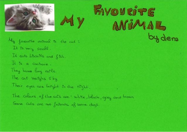 my favorite animal essay
